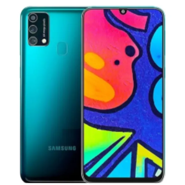 Picture of Samsung Galaxy F41